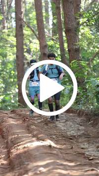 BIB:  <button type="button" onclick="openModal(26569650)" class="btn btn-primary btn-sm float-right" data-toggle="modal" data-target=".modal-high-quality">
                <i class="fa fa-download"></i> Download
                </button>